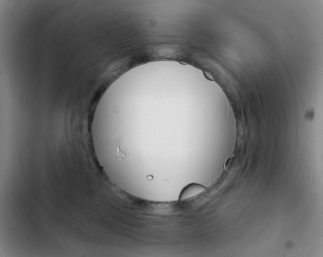 X0000103240377200808281039