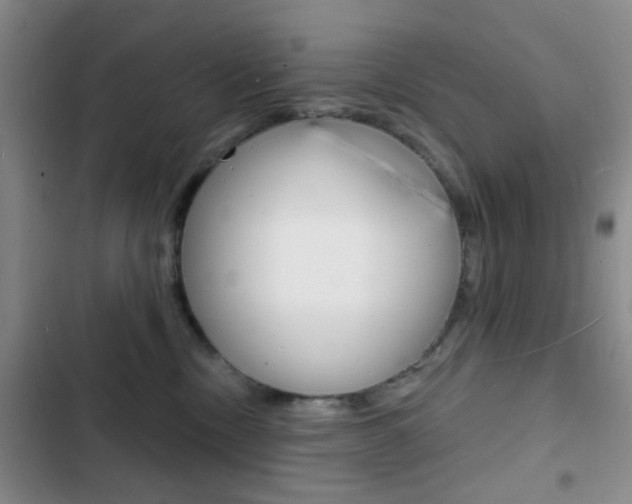 X0000103240378200808281039