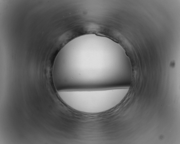 X0000103240379200808281039