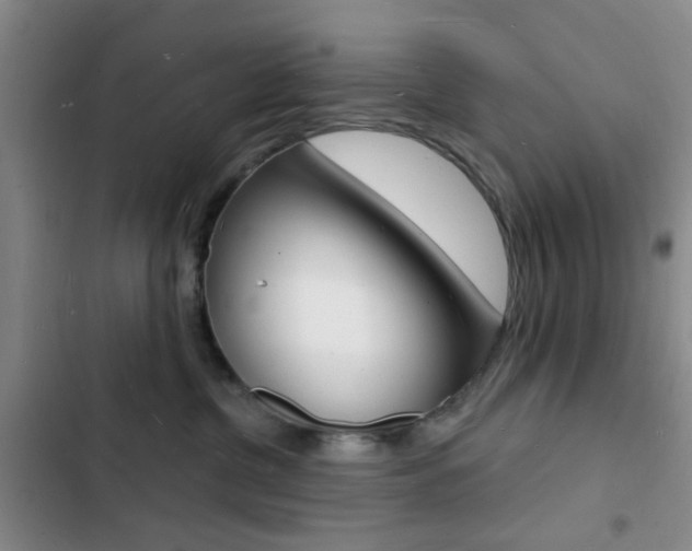 X0000103240380200808281039