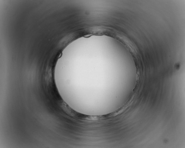 X0000103240381200808281039