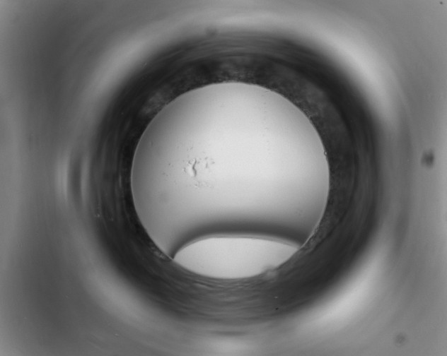 X0000103240382200808281039