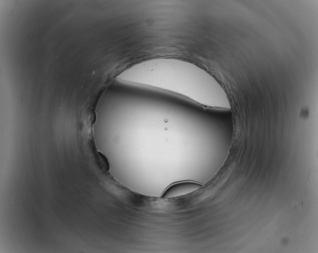 X0000103240383200808281039