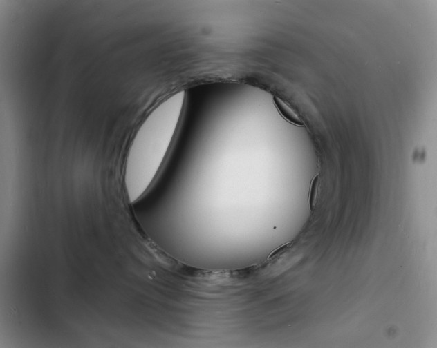 X0000103240384200808281039