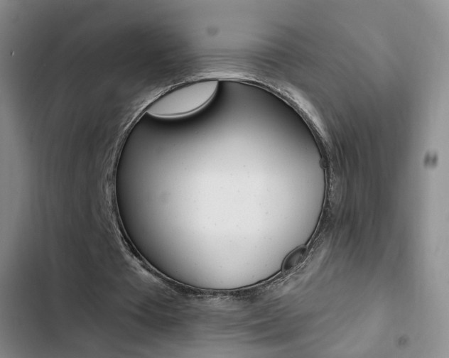 X0000103240385200808281038
