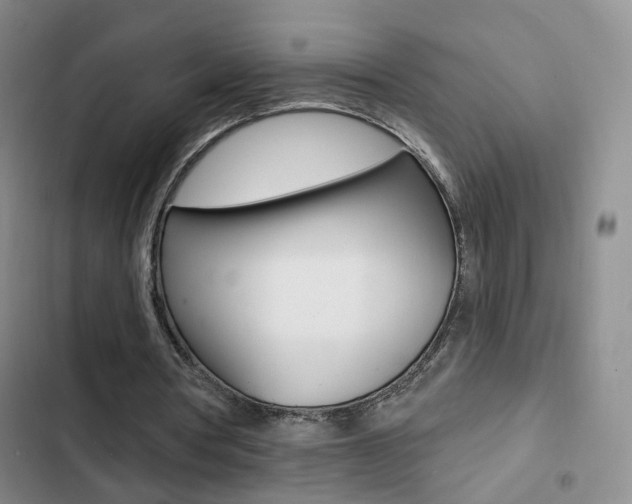 X0000103240386200808281038
