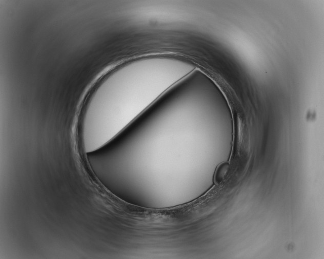 X0000103240387200808281038