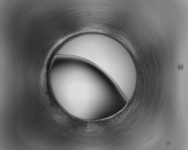 X0000103240388200808281038