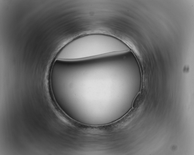 X0000103240389200808281038