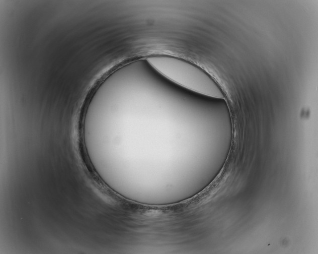 X0000103240390200808281038