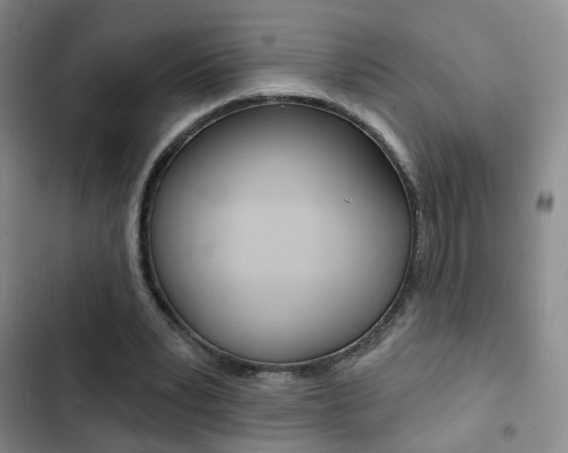 X0000103240391200808281038