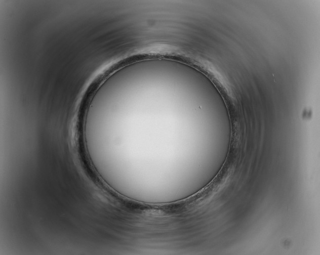X0000103240392200808281038