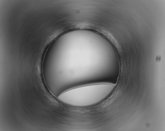 X0000103240393200808281038