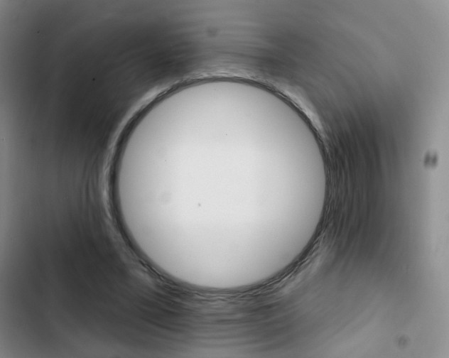 X0000103240395200808281038