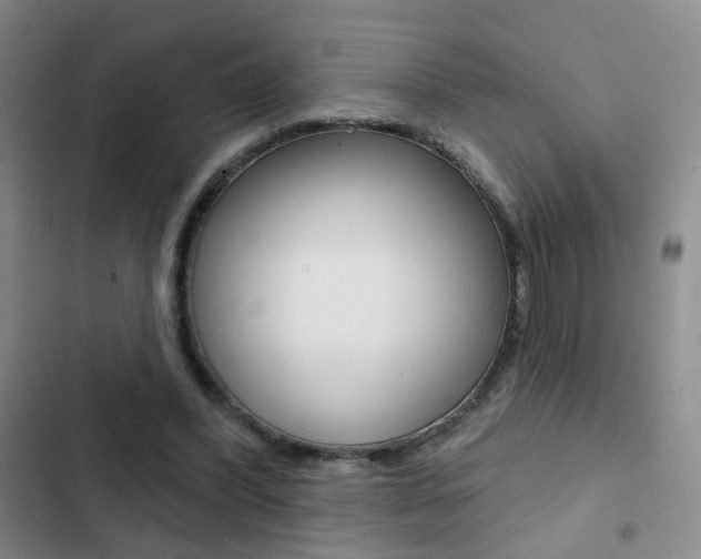 X0000103240396200808281038