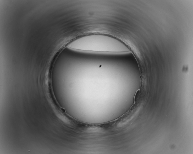 X0000103240397200808281038