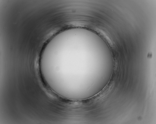 X0000103240398200808281038
