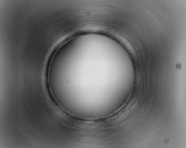 X0000103240399200808281038