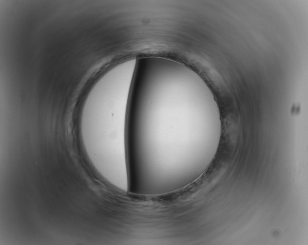 X0000103240400200808281038