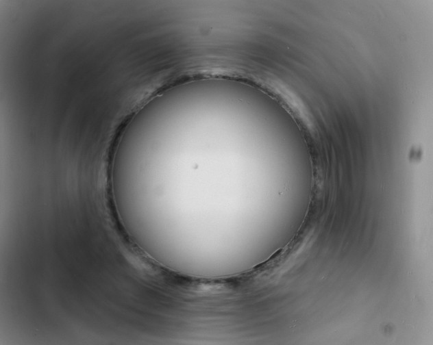 X0000103240401200808281038