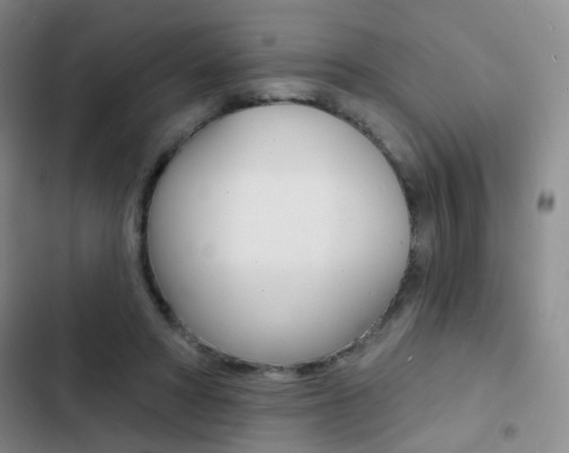 X0000103240402200808281038