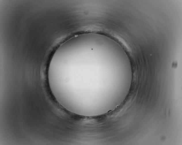 X0000103240403200808281038