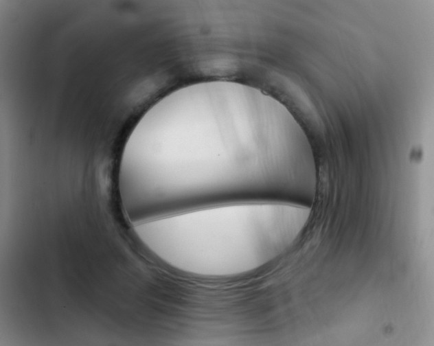 X0000103240404200808281038