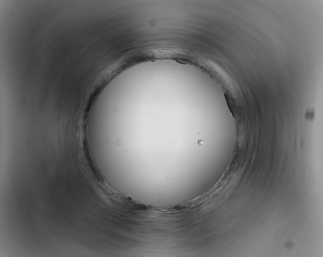X0000103240405200808281038
