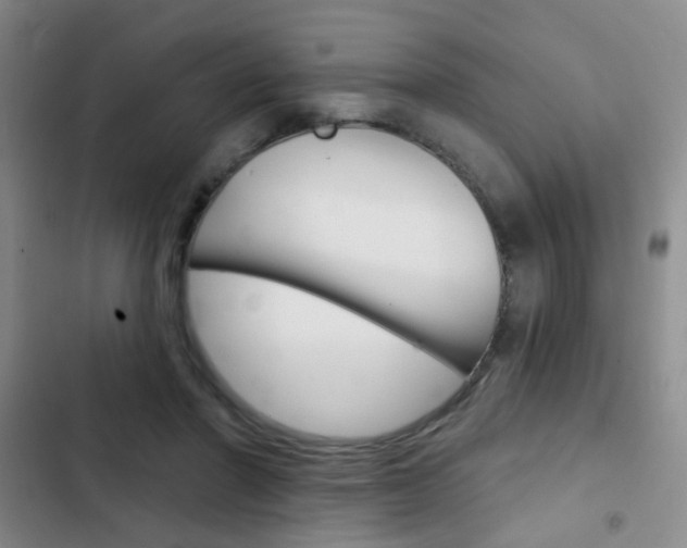 X0000103240406200808281038