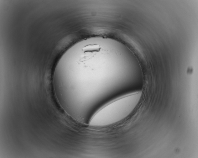 X0000103240407200808281038