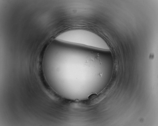 X0000103240408200808281038
