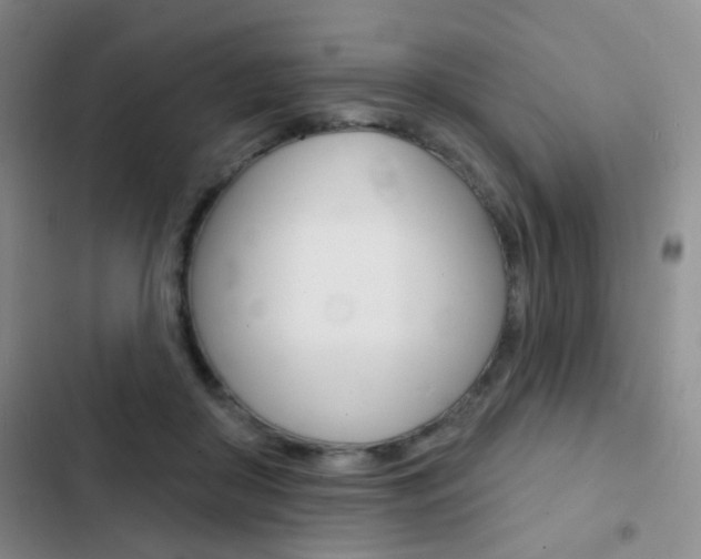 X0000103240410200808281038