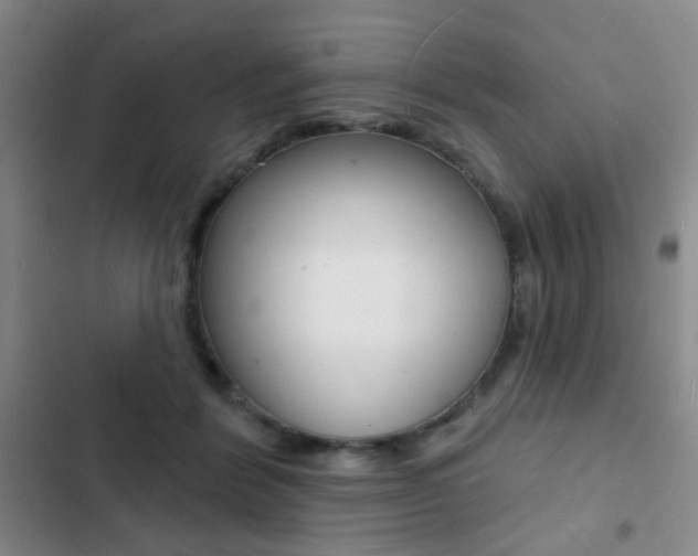 X0000103240412200808281038