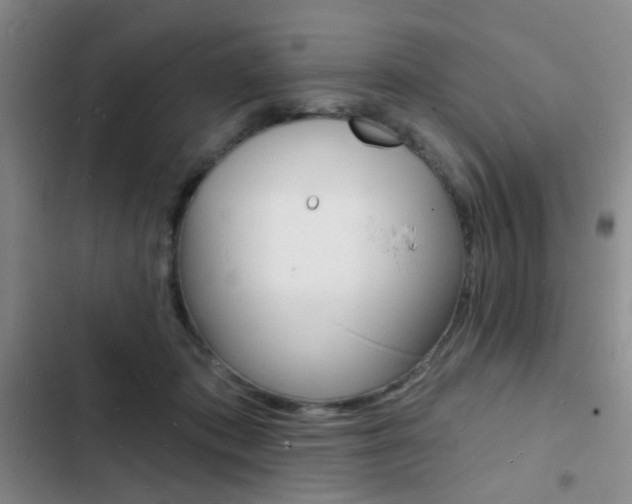 X0000103240413200808281038