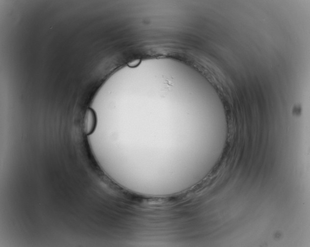 X0000103240414200808281038