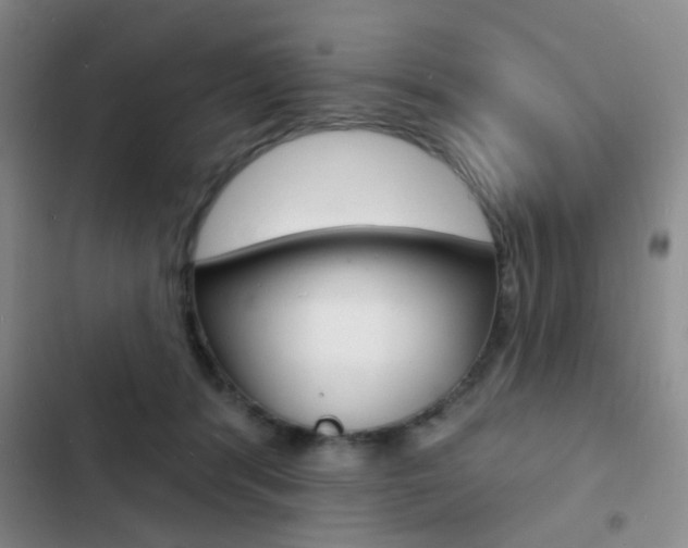 X0000103240416200808281038