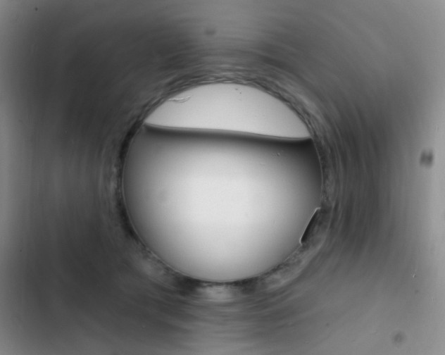X0000103240417200808281038