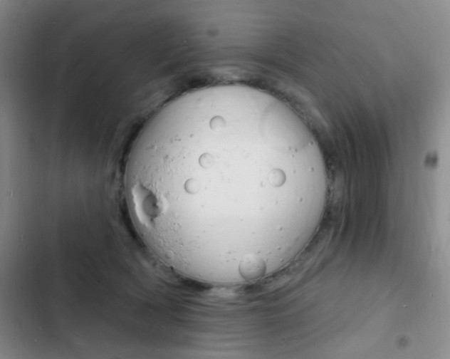 X0000103240418200808281038