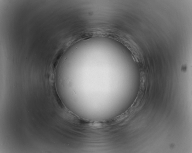 X0000103240419200808281038