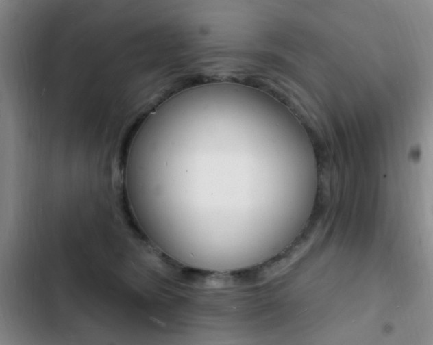 X0000103240420200808281038