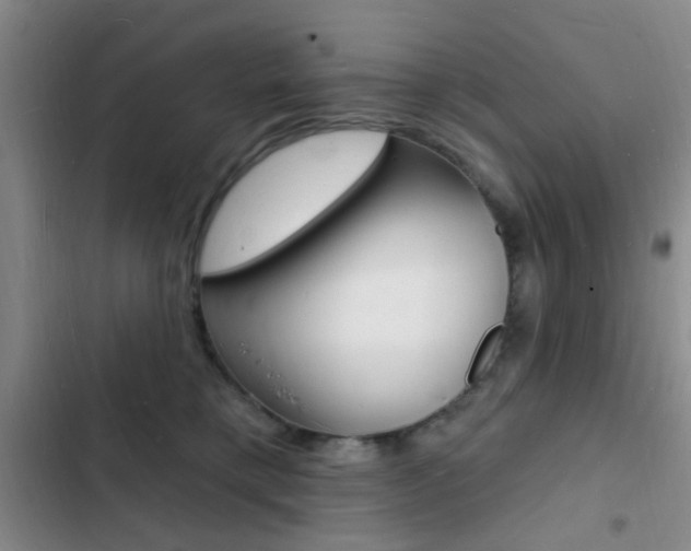 X0000103240421200808281038