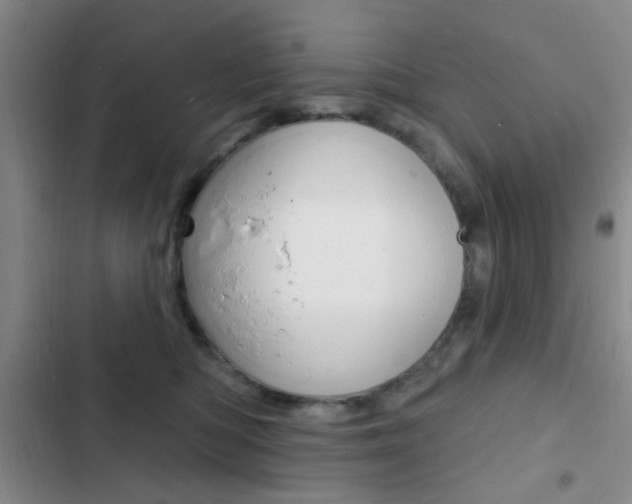 X0000103240422200808281038