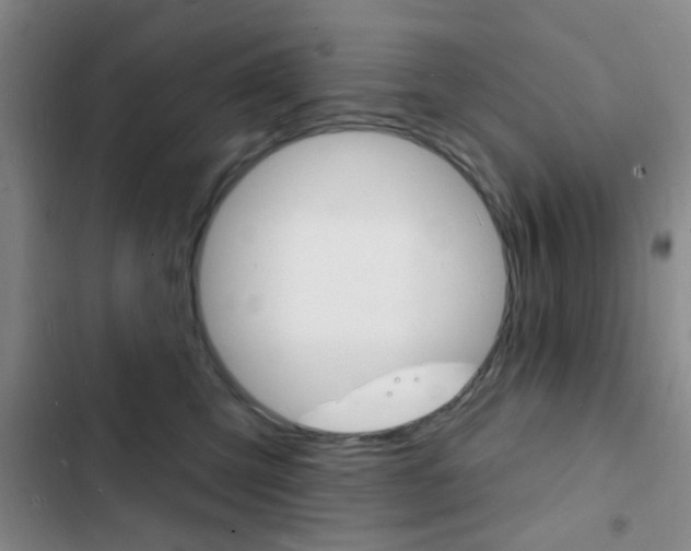 X0000103240423200808281038