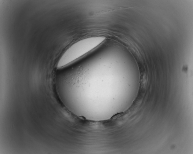 X0000103240424200808281038