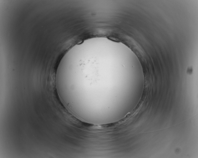 X0000103240425200808281038