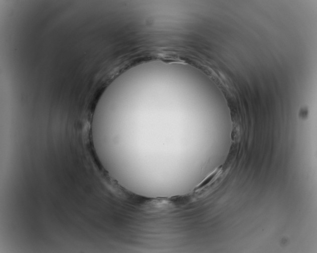 X0000103240427200808281038