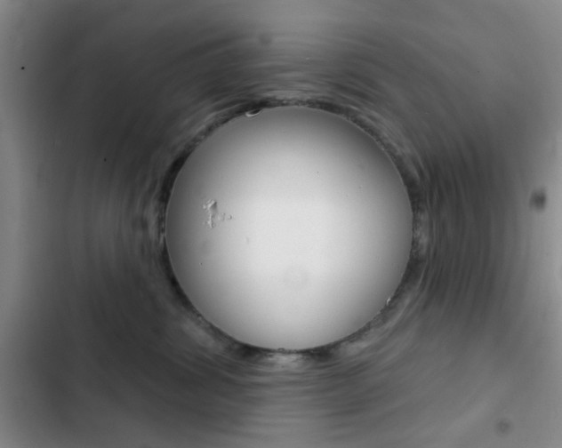 X0000103240428200808281038