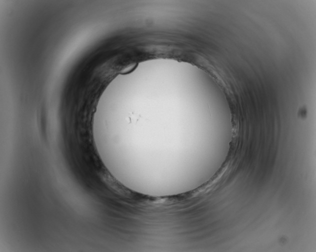 X0000103240430200808281038