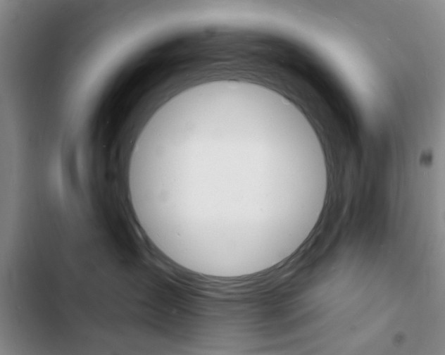 X0000103240431200808281037