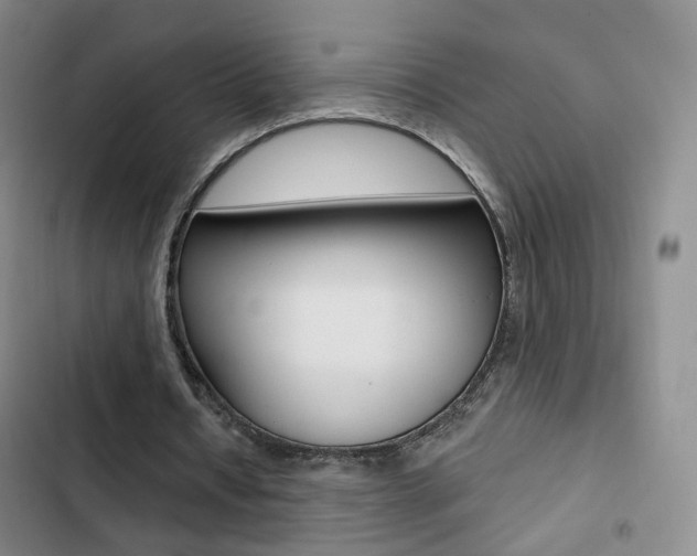 X0000103240434200808281037